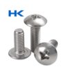 VÍT PAKE INOX ĐẦU DÙ THÂN BU LÔNG DIN IFII-27 – INOX 201, 304, 316, 316L, 310